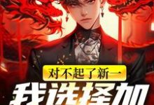 小说《对不起了新一,我选择加入黑组织》章节免费阅读-书格格