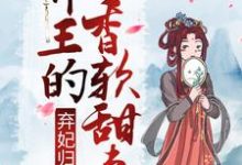 弃妃归来:邪王的香软甜妻小说的无弹窗阅读体验,寻找免费阅读网站-书格格