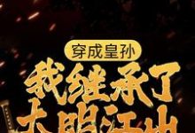 穿成皇孙,我继承了大明江山小说有没有完结版在线?-书格格