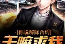 《你说解除合约,干嘛求我回去》全集免费在线阅读(陆洲)-书格格