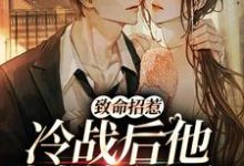 致命招惹:冷战后他靠撒娇求和李书妤许况小说在线章节免费阅读-书格格