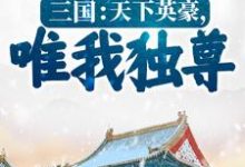 已完结小说《三国:天下英豪,唯我独尊!》章节免费阅读-书格格