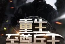 哪里能找到重生至尊兵王小说的最新更新和免费章节?-书格格