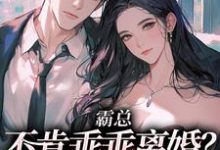 霸总不肯乖乖离婚?我用钱砸死他小说的最新章节在哪里更新?免费追踪阅读-书格格