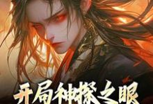 已完结小说《开局神探之眼,我在高武玩破案》章节免费阅读-书格格