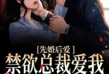先婚后爱:禁欲总裁爱我到无法自拔小说阅读,先婚后爱:禁欲总裁爱我到无法自拔完结版-书格格