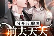 小说《分开后，腹黑前夫天天哭着求复合》章节免费阅读-书格格