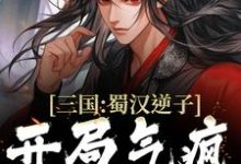 哪里能找到三国:蜀汉逆子,开局气疯诸葛亮小说的全部章节?-书格格