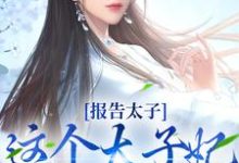 《报告太子:这个太子妃好眼熟》小说章节列表免费试读,沈骊珠李延玺小说在线阅读-书格格