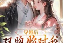 穿越后,双胞胎对我强取豪夺小说完结版章节免费阅读-书格格