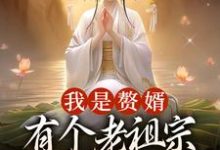 我是赘婿,有个老祖宗娘子很合理吧小说全文哪里可以免费看?-书格格