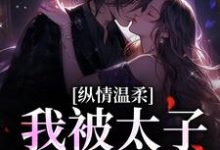 纵情温柔,我被太子爷骗婚南晚霍阑川小说在线章节免费阅读-书格格