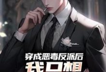穿成恶毒反派后,我只想离婚保平安小说的免费阅读版本在哪里可以找到?-书格格