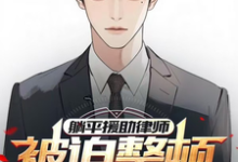 躺平援助律师，被迫整顿公检法！小说有没有完结版在线？-书格格