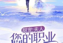甜宠:夫人,您的职业操守呢!许时漾周砚京,甜宠:夫人,您的职业操守呢!章节在线阅读-书格格