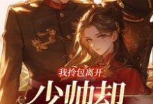 我拎包离开,少帅却穷追不舍小说完结版章节免费阅读-书格格