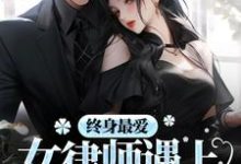 终身最爱:女律师遇上邪魅总裁小说免费资源,终身最爱:女律师遇上邪魅总裁在线阅读-书格格