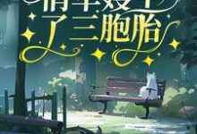 寻找七零:俏军嫂生了三胞胎小说的最新更新章节-书格格