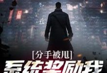 小说《分手被甩，系统奖励我无上武魂》在线章节阅读-书格格