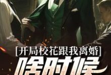 《开局校花跟我离婚，啥时候结的婚？》小说徐帆许梦瑶章节章节免费在线阅读-书格格