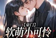 豪门:软萌小可怜被骗后失忆了唐棠顾君逞小说完结版章节在线阅读-书格格