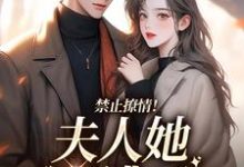 禁止撩情!夫人她又逃了小说完结了吗?在哪里可以免费读到?-书格格
