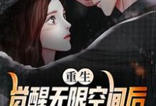 小说《重生:觉醒无限空间后,我开始复仇》章节免费阅读-书格格