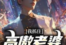 我抓住高傲老婆背叛证据,她慌了!这本小说在哪里可以看?哪里有免费试读章节?-书格格