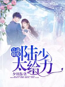 总裁掠爱：陆少，太给力小说免费资源，总裁掠爱：陆少，太给力在线阅读