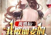 离婚后:我被前妻的天后闺蜜倒追小说有没有完结版在线?-书格格