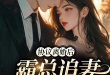 求协议离婚后,霸总追妻火葬场小说的全文免费阅读链接-书格格
