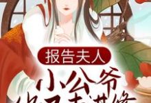 完结版《报告夫人,小公爷他又去进修男德了》章节目录在线阅读-书格格