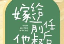 嫁给前任他叔后，我成了团宠小说的无弹窗阅读体验，寻找免费阅读网站-书格格