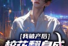 我破产后，校花翻身成总裁要养我？这本小说怎么样？免费在线阅读试试-书格格