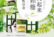 你笑起来像颗糖小说,你笑起来像颗糖辛暖陆景一薛朵儿白辰-书格格