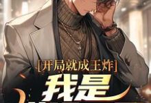 李修远小说开局就成王炸:我是棋场一哥在线阅读章节-书格格