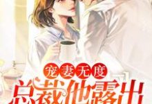《宠妻无度:总裁他露出狐狸尾巴了》小说大结局免费试读 颜初宋宴回小说-书格格