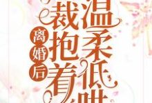离婚后,总裁抱着前妻温柔低哄小说的最新章节在哪里更新?免费追踪阅读-书格格
