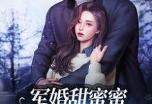 军婚甜蜜蜜:兵王老公使劲宠最新章节,军婚甜蜜蜜:兵王老公使劲宠免费阅读-书格格