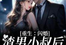 重生：闪婚渣男小叔后，她赢麻了 虞笙傅砚深小说完结版章节在线阅读-书格格