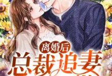 《离婚后，总裁追妻有点甜》小说任予希宋亦辰章节章节免费在线阅读-书格格
