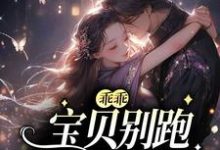 乖乖宝贝别跑,你逃不掉的小说最新更新在哪里?免费在线看-书格格