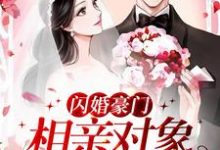 《闪婚豪门:相亲对象是大佬》全集免费在线阅读(许南音陆南骁)-书格格
