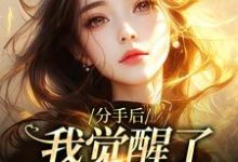 在线寻找分手后,我觉醒了日抛金手指小说的无删减版本-书格格