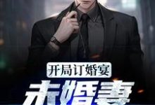 开局订婚宴,未婚妻弃我而去小说,开局订婚宴,未婚妻弃我而去在线阅读-书格格