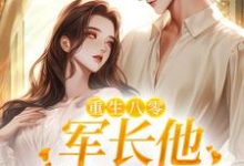 重生八零,军长他成娇夫了小说的无弹窗阅读体验,寻找免费阅读网站-书格格