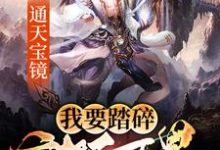通天宝镜:我要踏碎诸天万界秦臻苏清小说完结版章节在线阅读-书格格