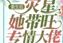 重生后,灾星她带旺专情大佬小说,重生后,灾星她带旺专情大佬苏柒墨修寒-书格格
