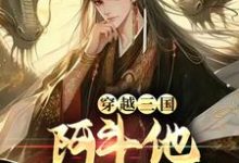 已完结小说《穿越三国:阿斗他站起来了!》章节在线阅读-书格格