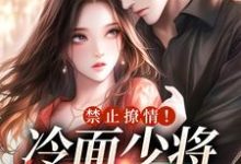 完结版《禁止撩情!冷面少将快杀敌》在线免费阅读-书格格